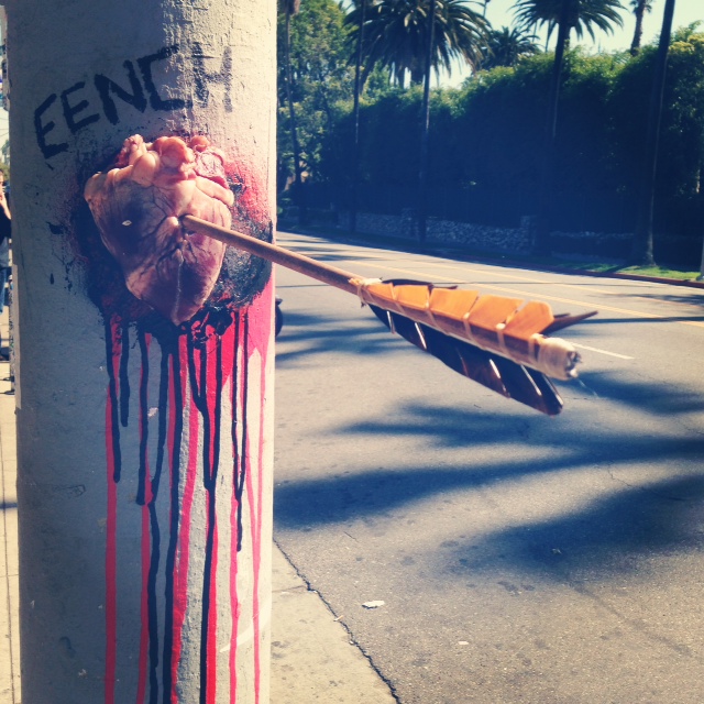 eench . photo taken by allan mcleod . 2013